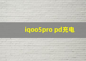 iqoo5pro pd充电